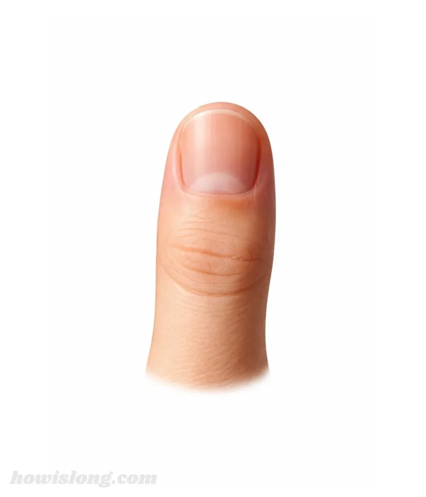 thumb-1-inches