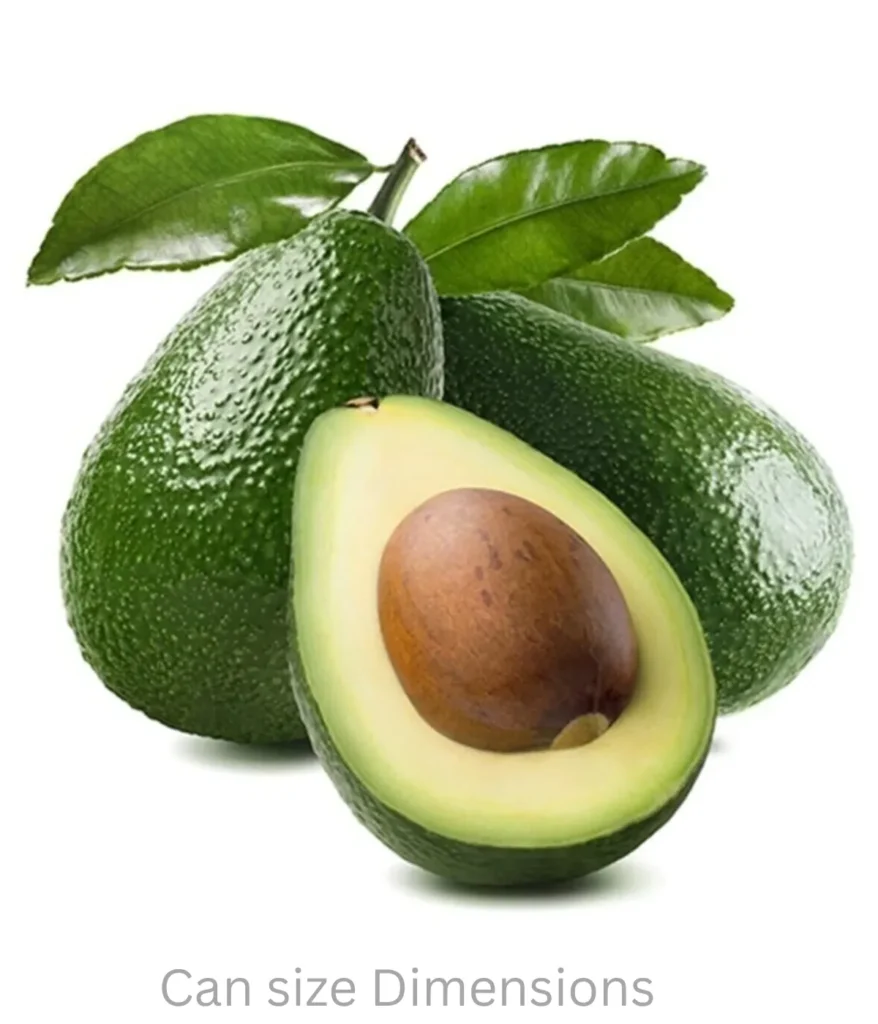 avocado-13-inches