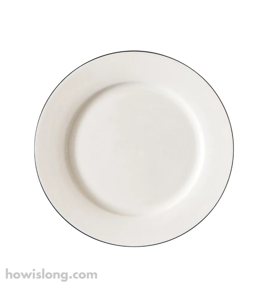 dinner-plate-10-inches