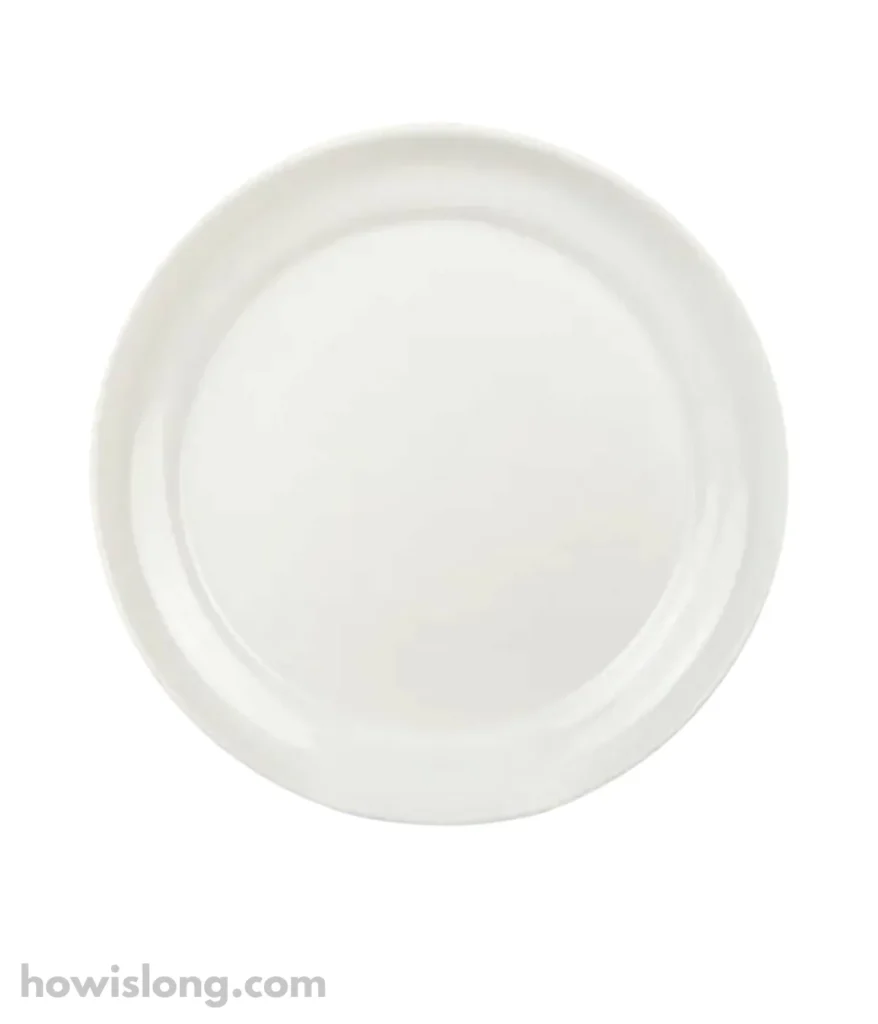 dinner-plate-11-inches