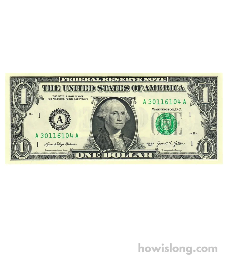 dollar-bill-10-inches
