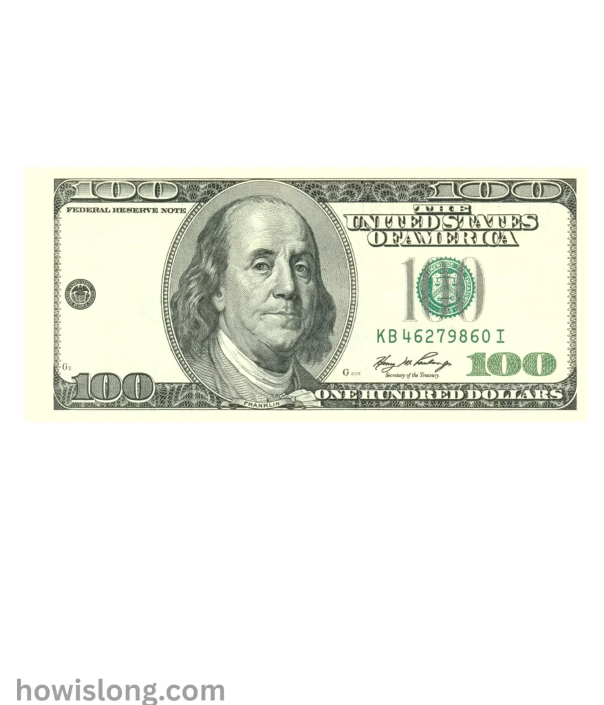 dollar-bill-12-inches