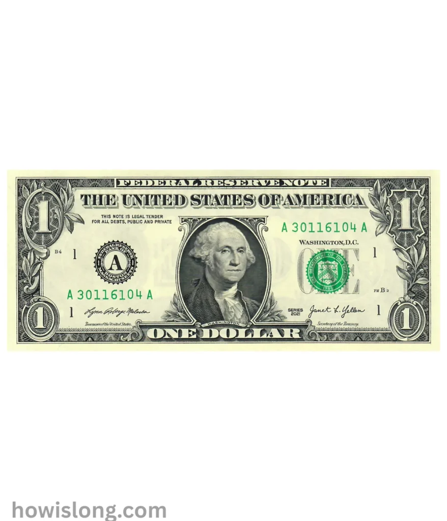 dollar-bill-15-inches