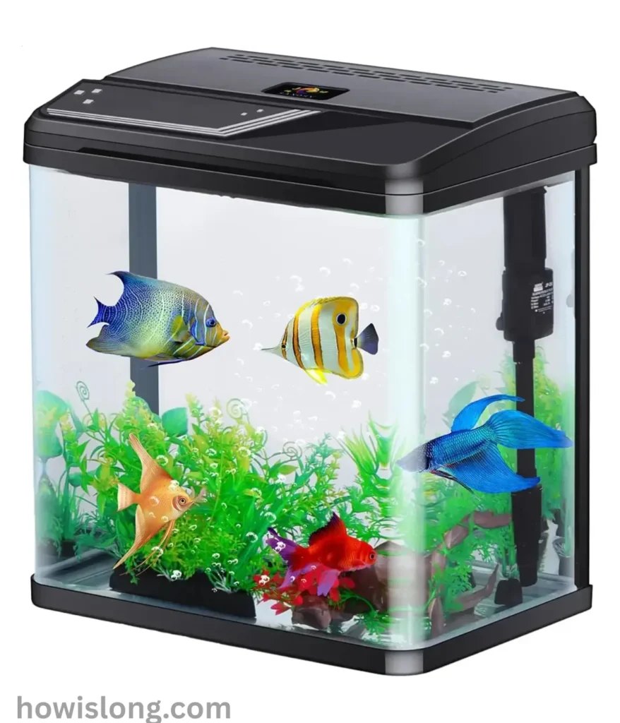 fish-tank-18-inches