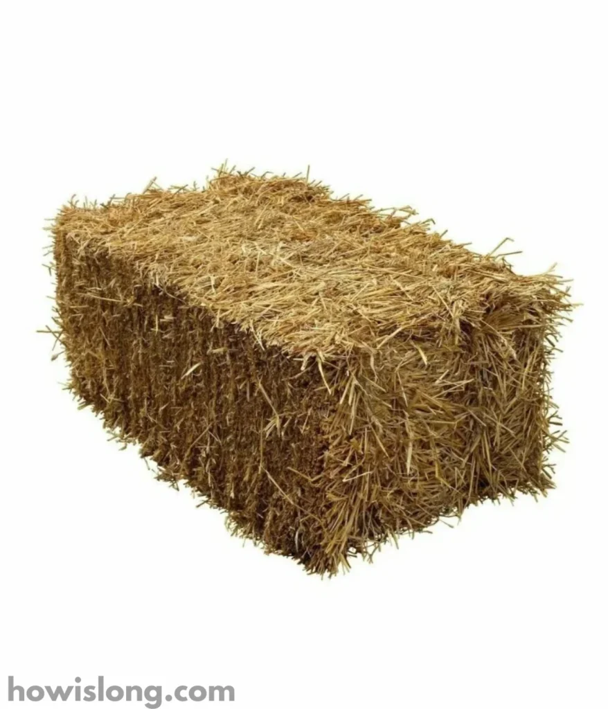 hay-bale-50-lbs
