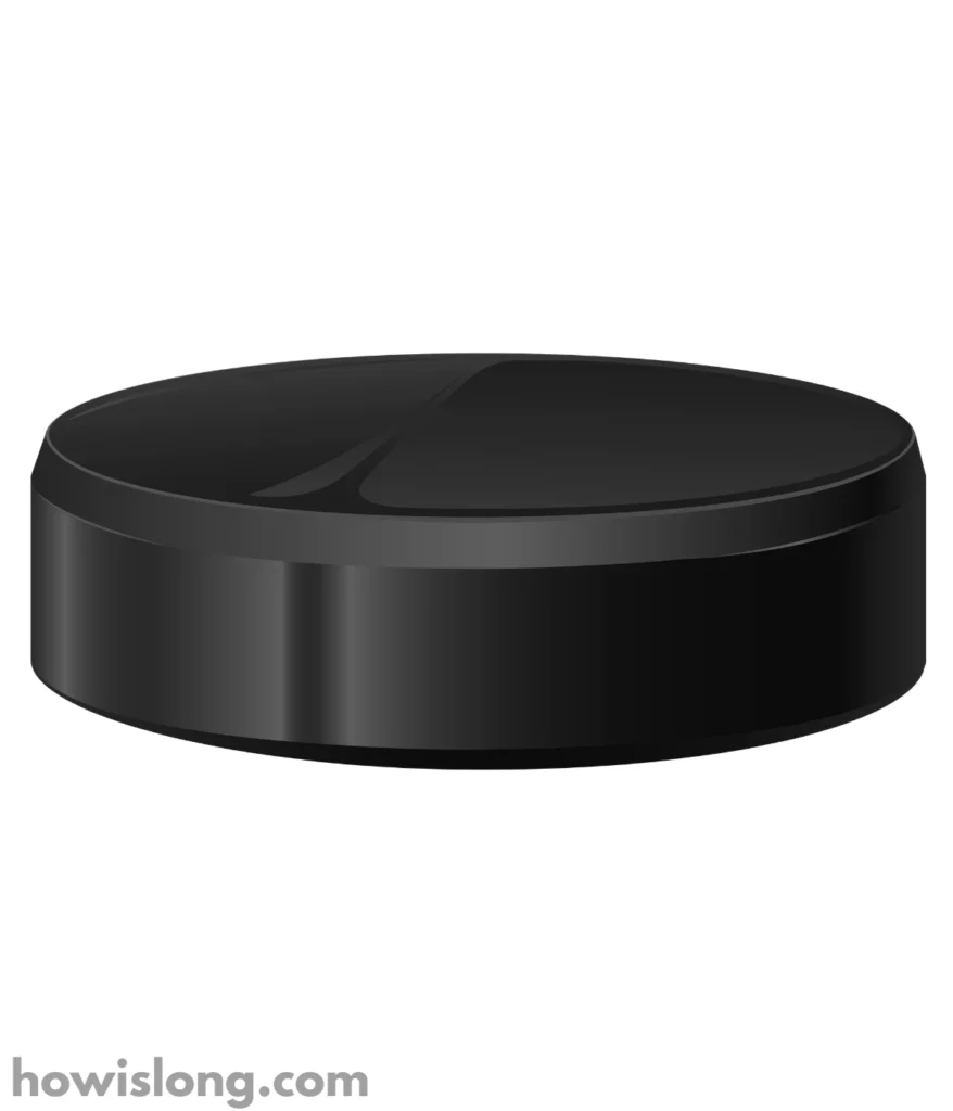 hockey-puck-2-feet