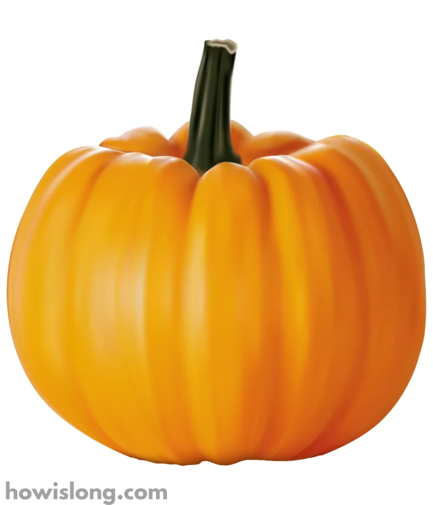 pumpkin-10-lbs