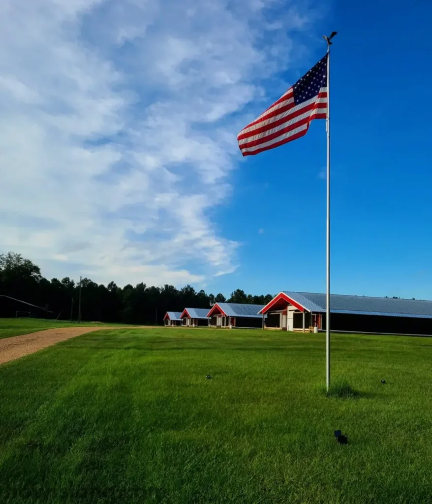residential-flagpole-20-feet