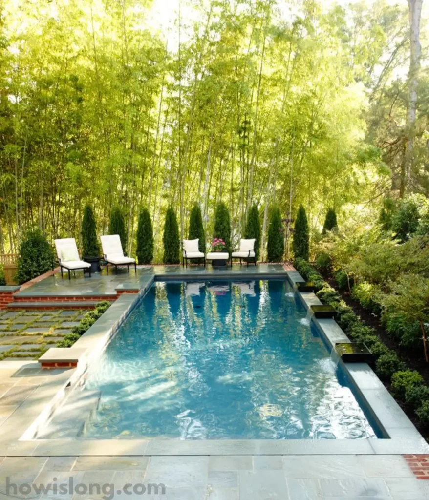 swimming-pool-50-feet