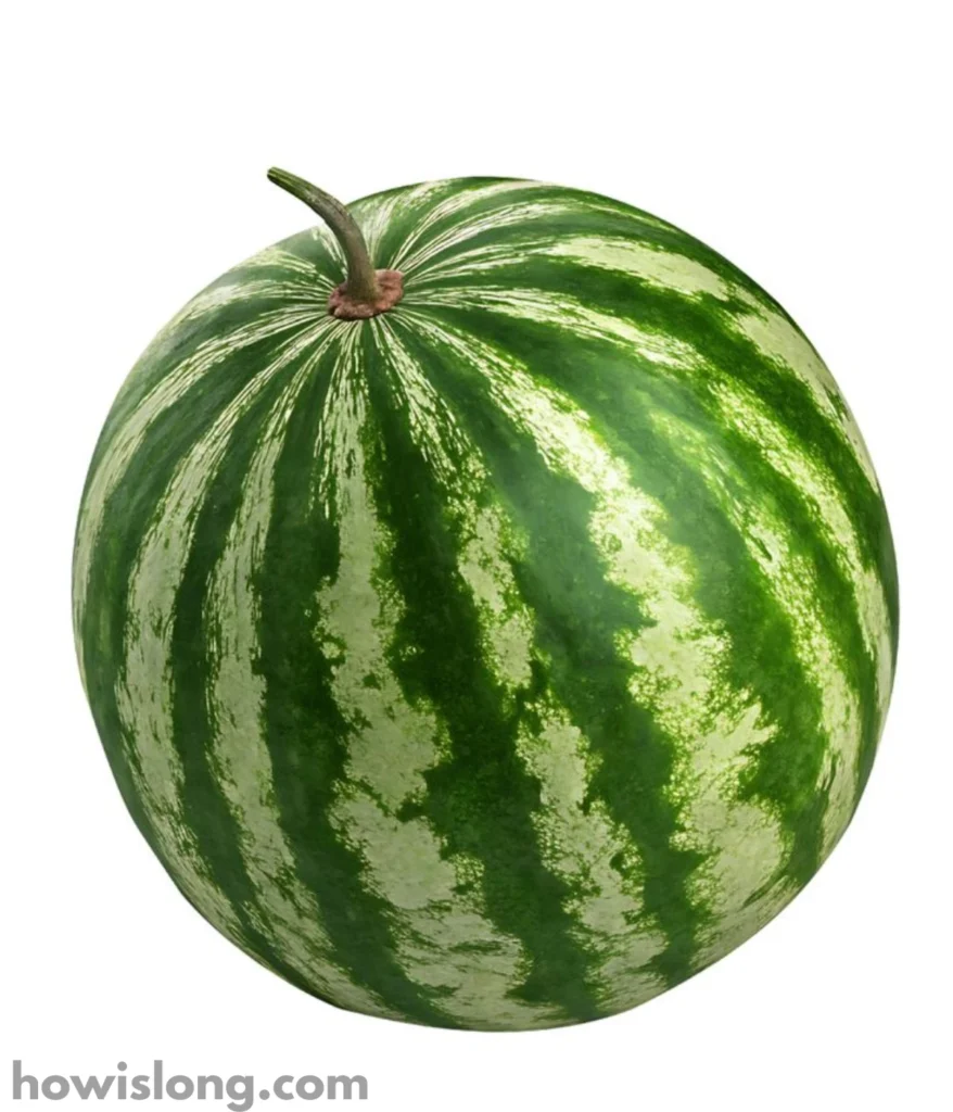 watermelon-20-lbs