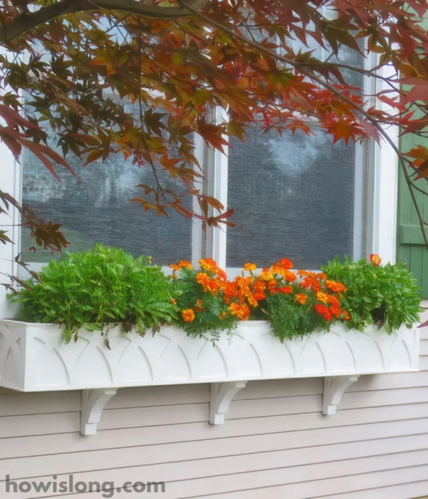 window-planter-box-2-feet