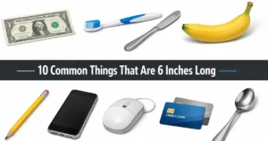 things-are-6-inches-long