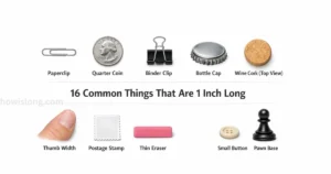 thing-that-are-1-inches-long