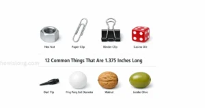 thing-that-are-1-375-inches-long