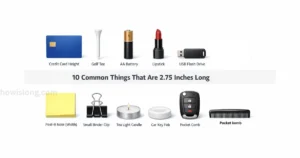 thing-that-are-2.75-inches-long