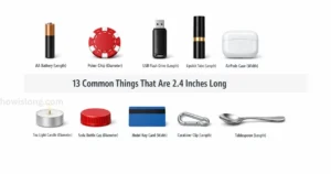 thing-that-are-2.4-inches-long