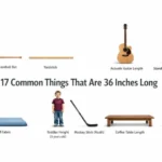 thing-that-are-36-inches-long