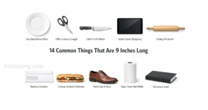 thing-that-are-9-inches-long