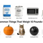 things-are-10-pound-weigh