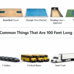 things-are-100-feet-long