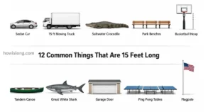 things-are-15-feet-long
