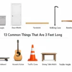 things-are-3-feet-long