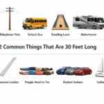 things-are-30-feet-long
