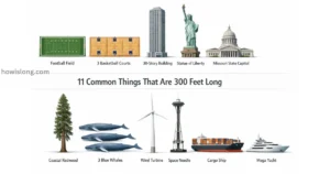 things-are-300-feet-long