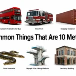 things-that-are-10-meters-long