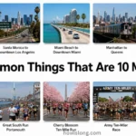 things-that-are-10-miles-long