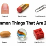 things-that-are-2-cm-long
