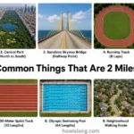 things-that-are-2-miles-long