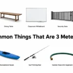 things-that-are-3-meters-long