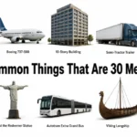 things-that-are-30-meters-long