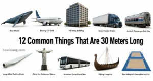 things-that-are-30-meters-long
