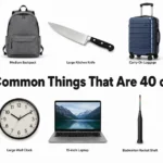 things-that-are-40-cm-long