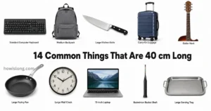 things-that-are-40-cm-long