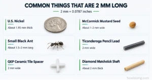 things-are-2-mm-long