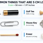 things-are-5-cm-long