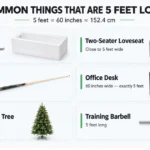 things-are-5-feet-long