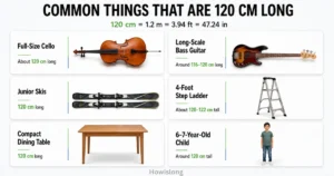 things-that-are-120-cm-long