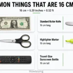 things-that-are-16-cm-long