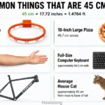 things-that-are-45-cm-long