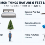 things-that-are-6-feet-long