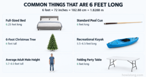 things-that-are-6-feet-long