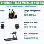 things-are-110-kg-weigh