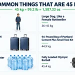 things-are-45-kg-weight