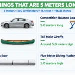 things-are-5-meter-long