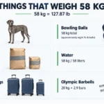 things-are-58-kg-weight