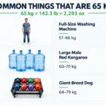 things-are-65-kg-weight